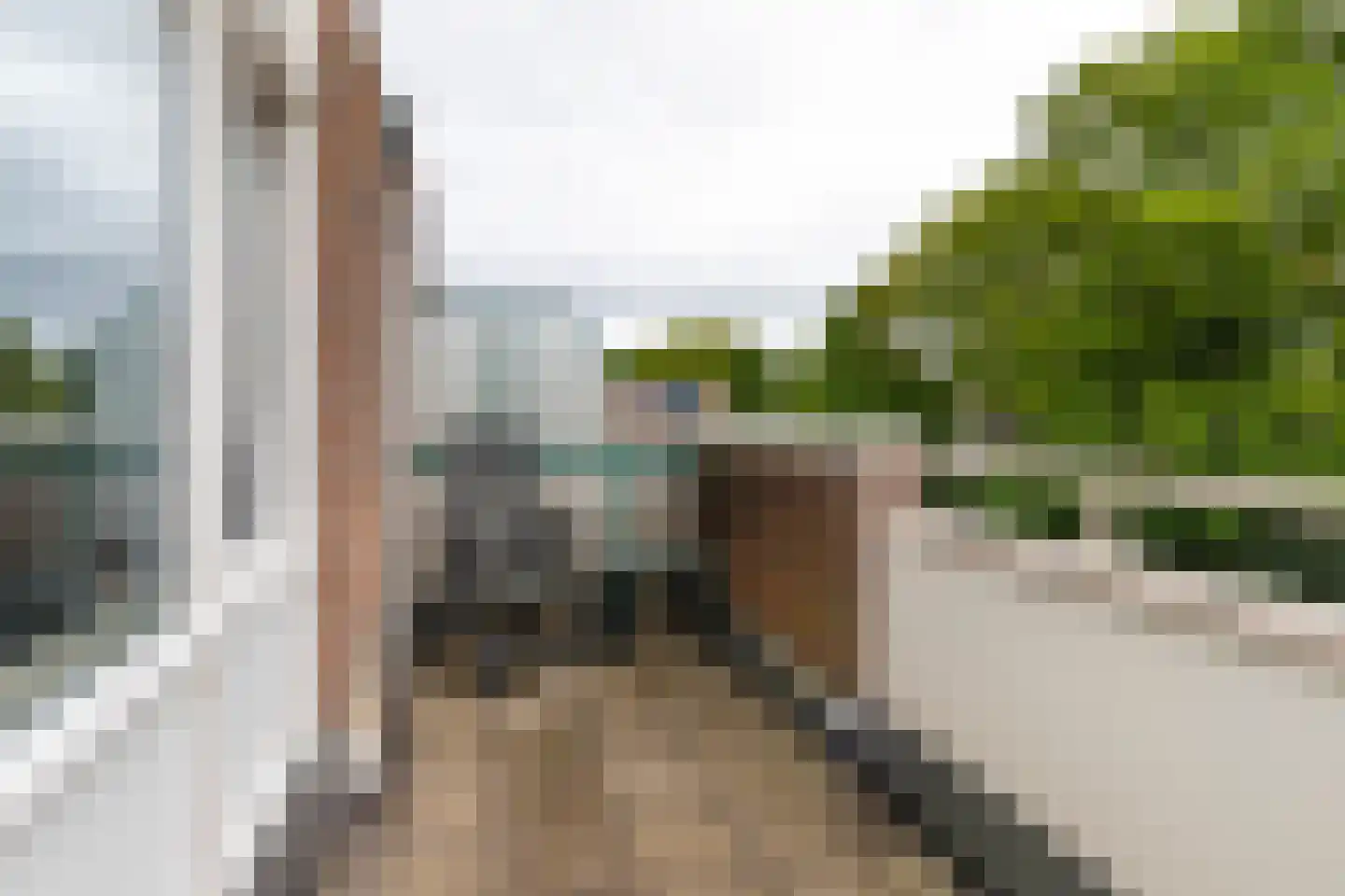 Q.A. Nederpelstraat 63 Den Haag thumbnail 35