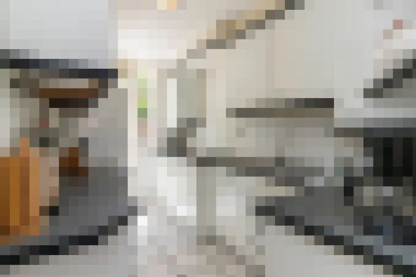 Q.A. Nederpelstraat 63 Den Haag thumbnail 8
