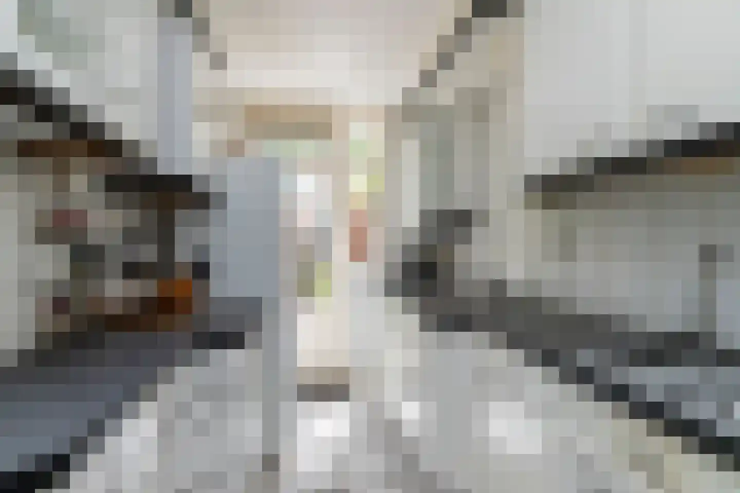 Q.A. Nederpelstraat 63 Den Haag thumbnail 9