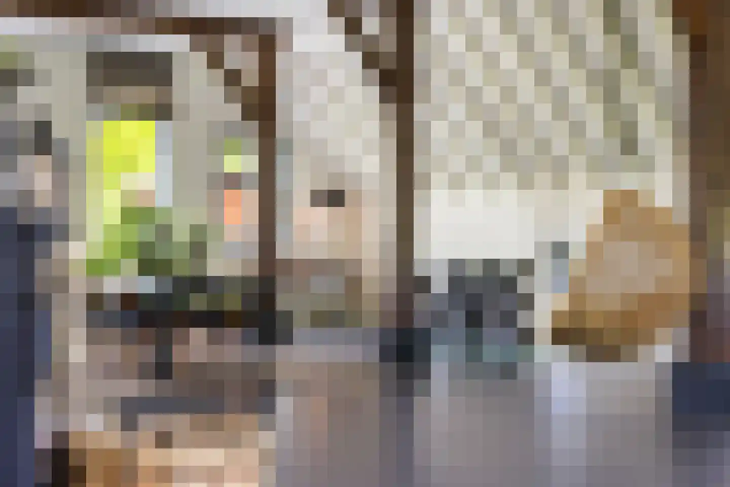 Quabbenburgerweg 16 Terwolde thumbnail 18