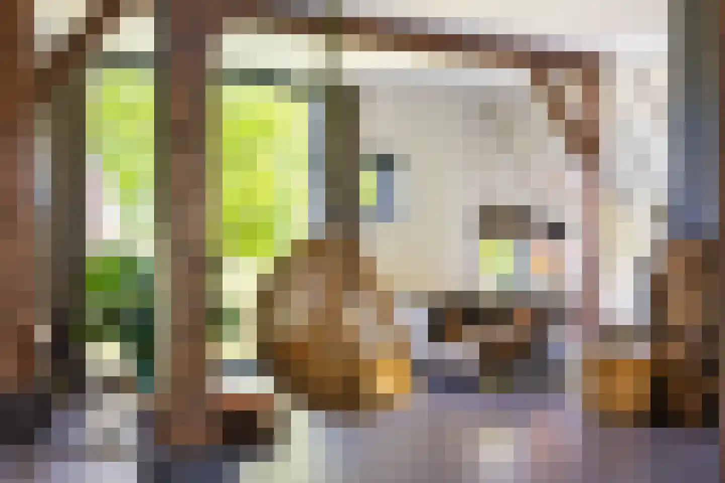 Quabbenburgerweg 16 Terwolde thumbnail 30