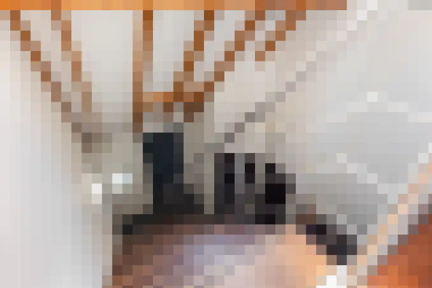 Quabbenburgerweg 16 Terwolde thumbnail 32