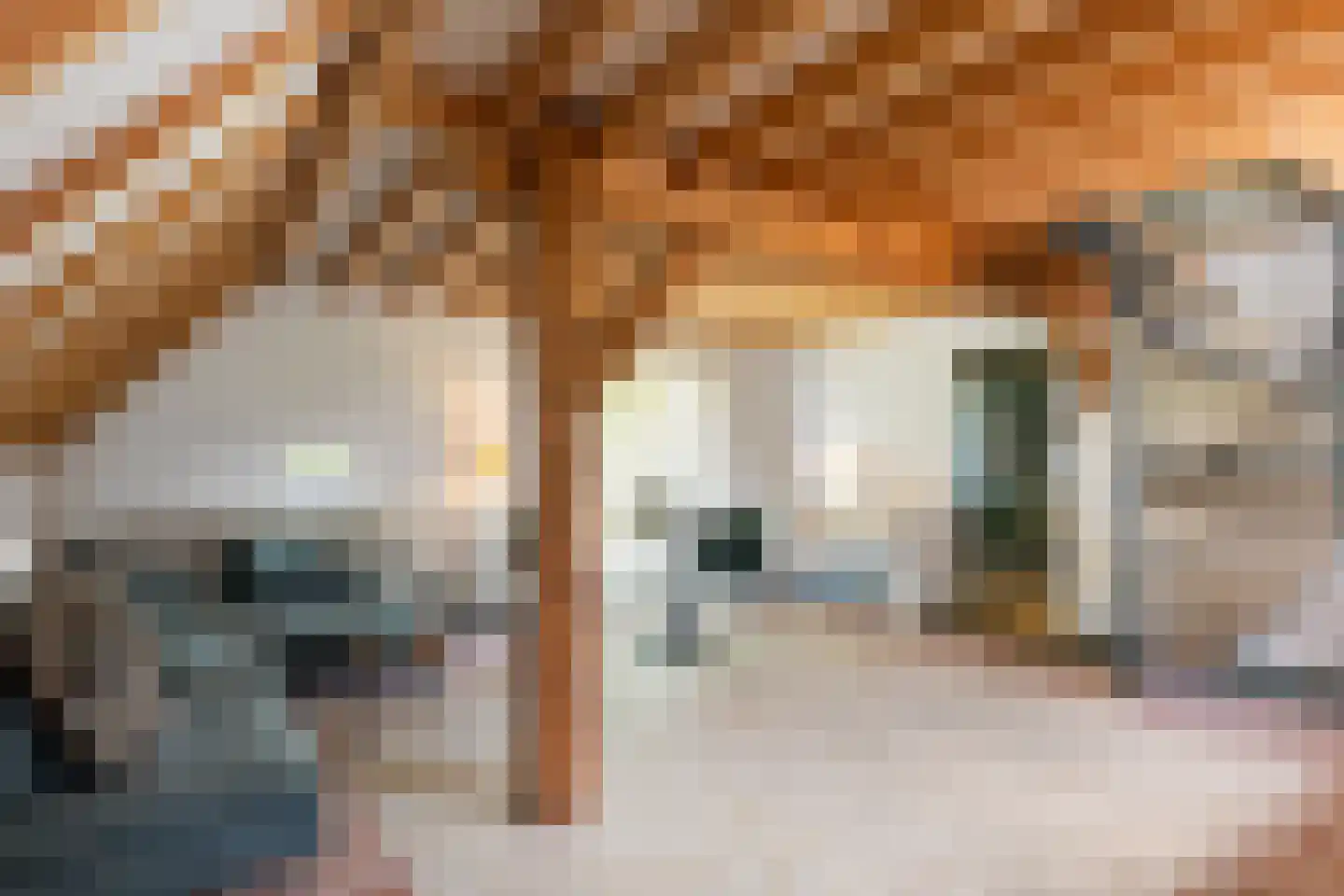 Quabbenburgerweg 16 Terwolde thumbnail 48