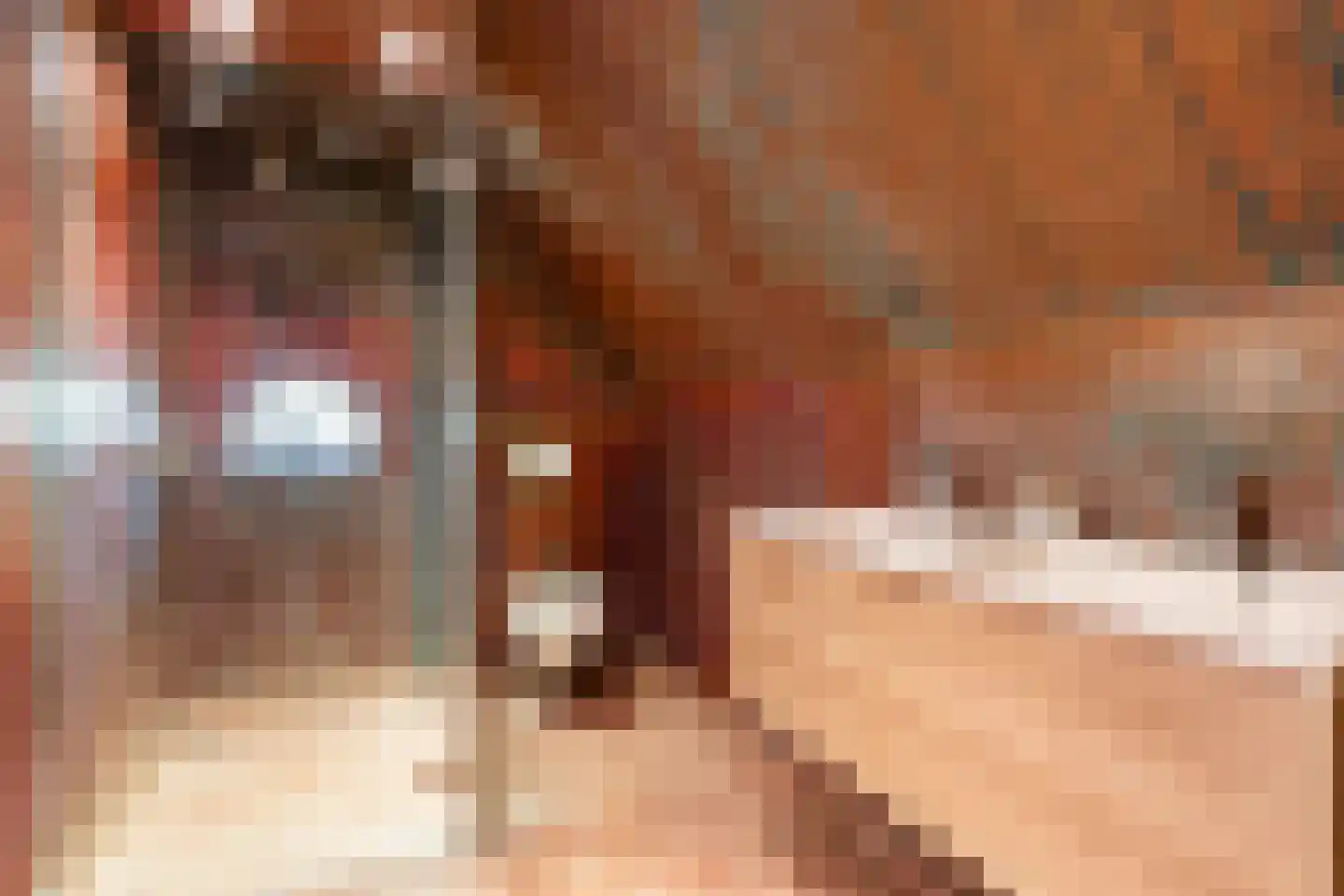 Quabbenburgerweg 16 Terwolde thumbnail 51