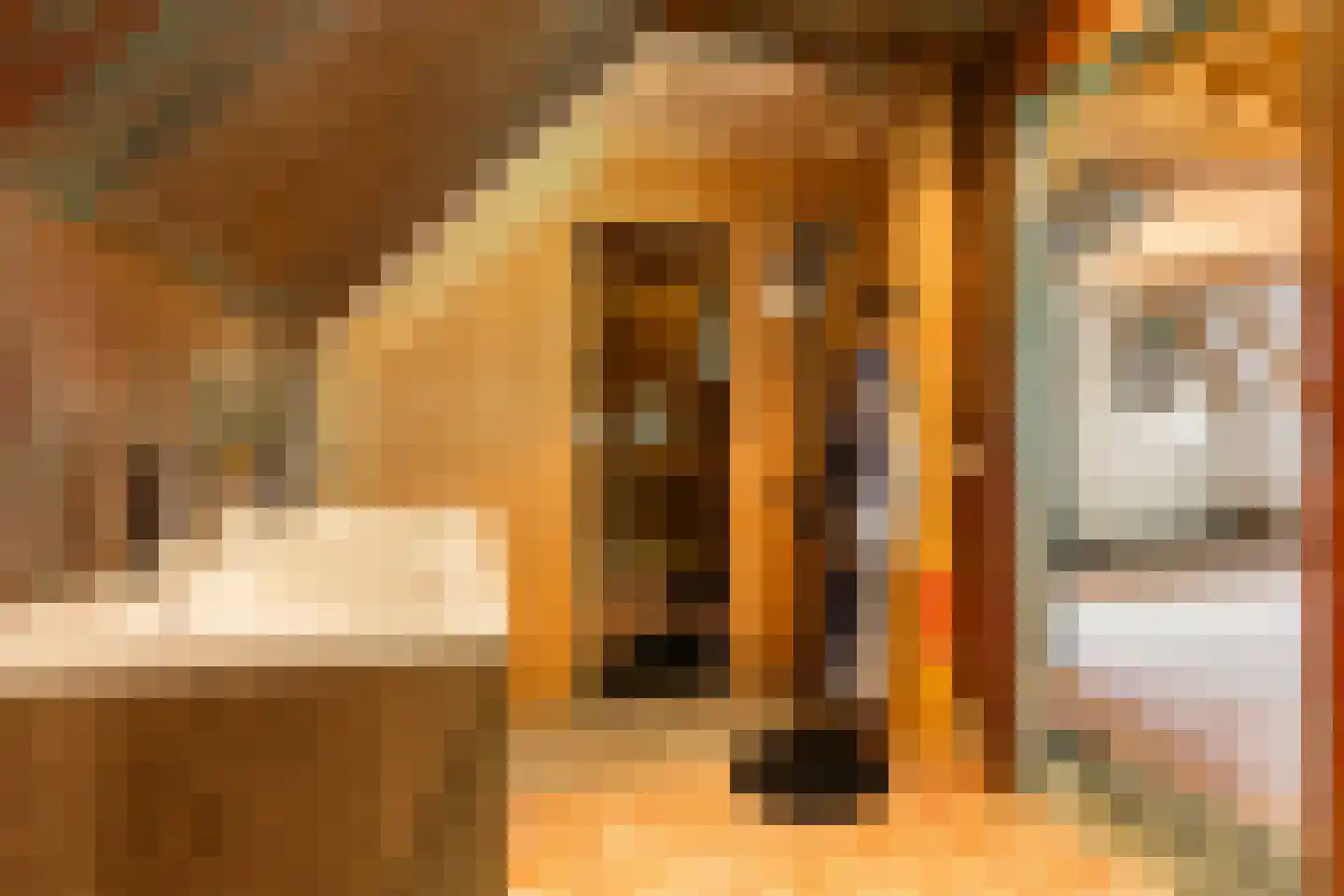 Quabbenburgerweg 16 Terwolde thumbnail 52