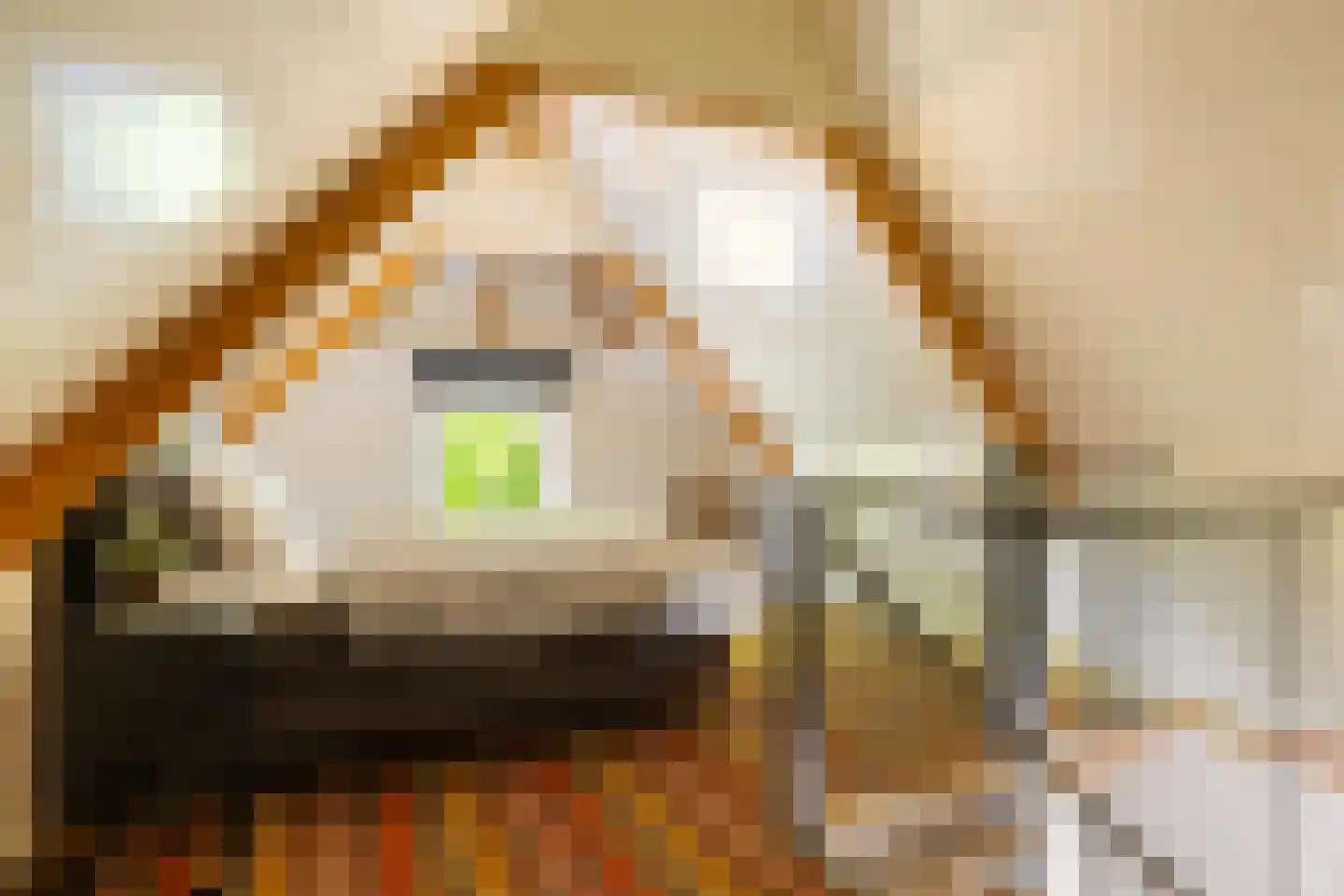 Quabbenburgerweg 16 Terwolde thumbnail 54