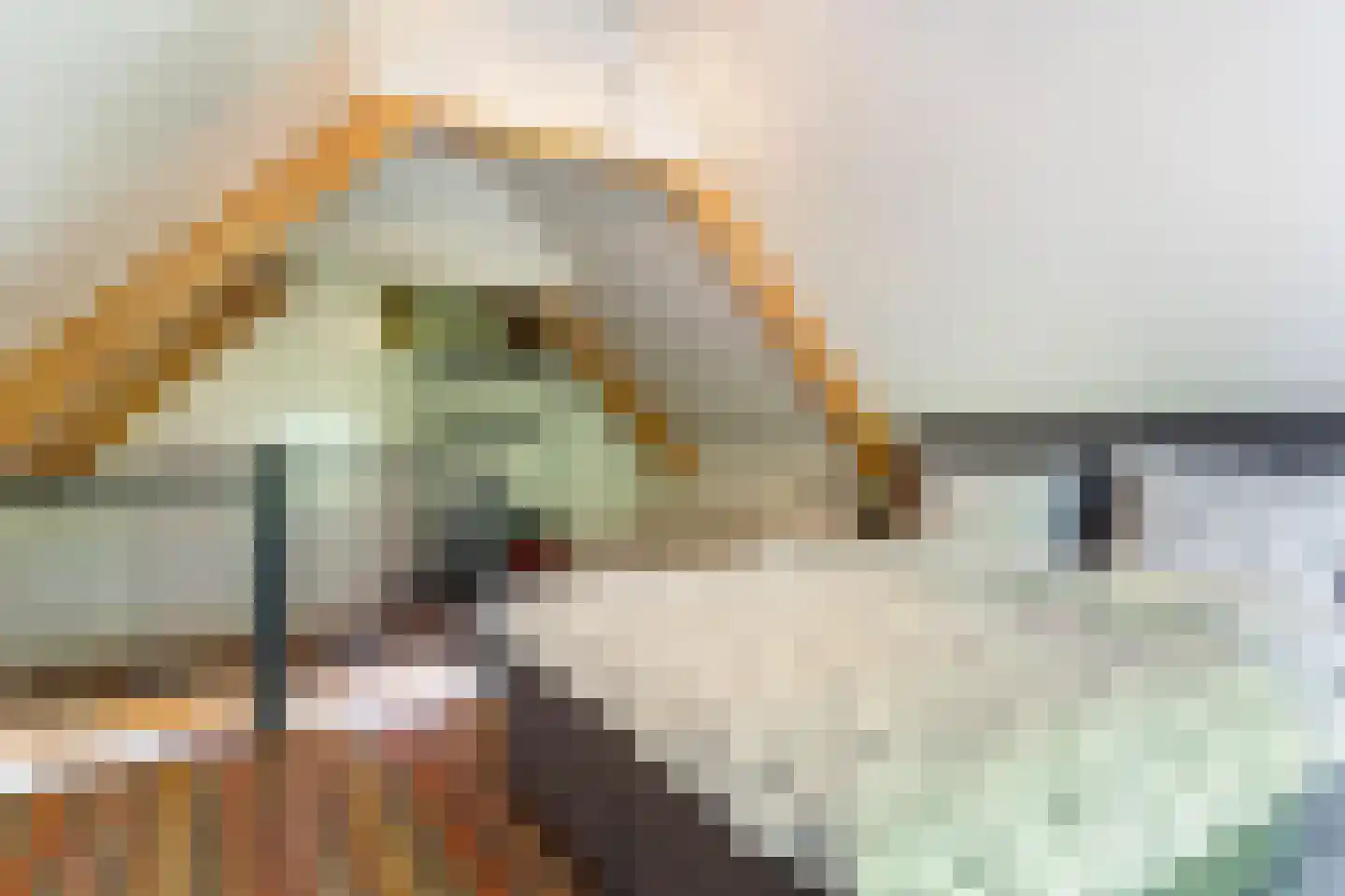 Quabbenburgerweg 16 Terwolde thumbnail 55