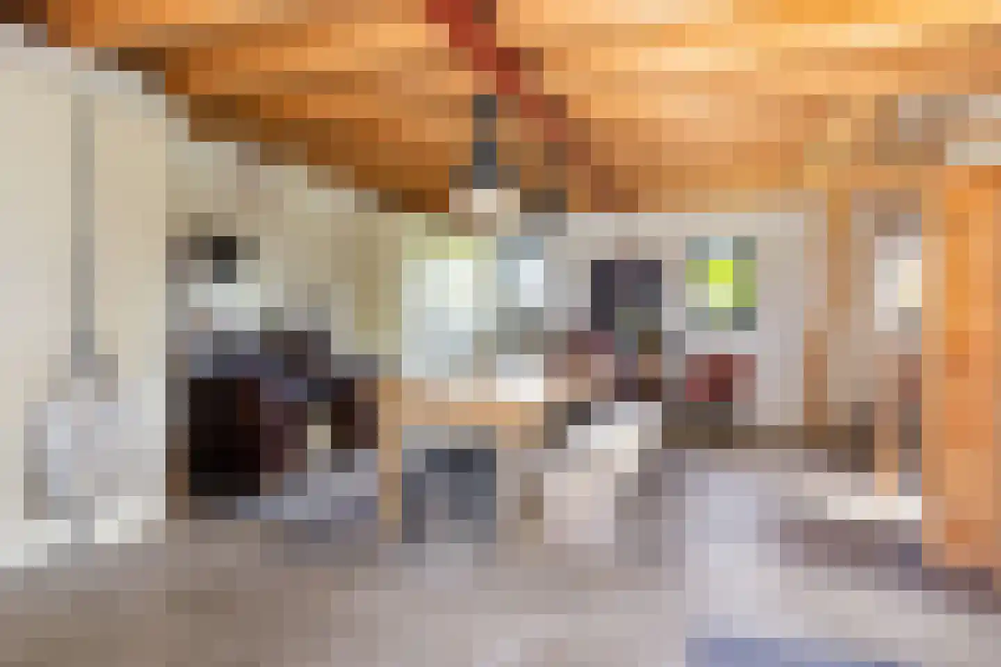 Quabbenburgerweg 16 Terwolde thumbnail 58
