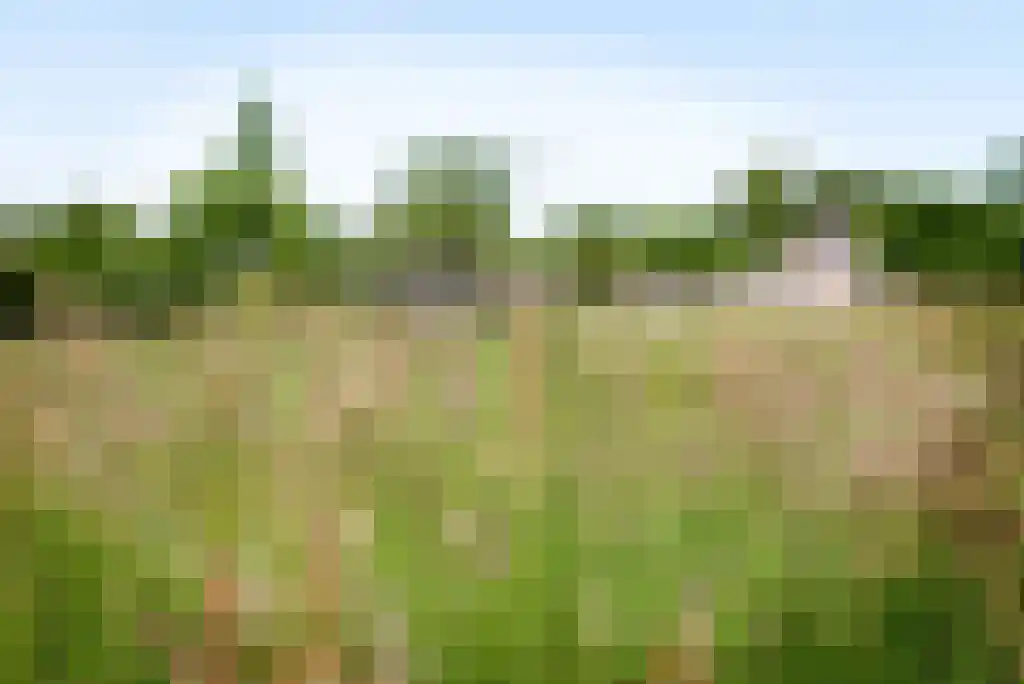Quabbenburgerweg 16 Terwolde thumbnail 7