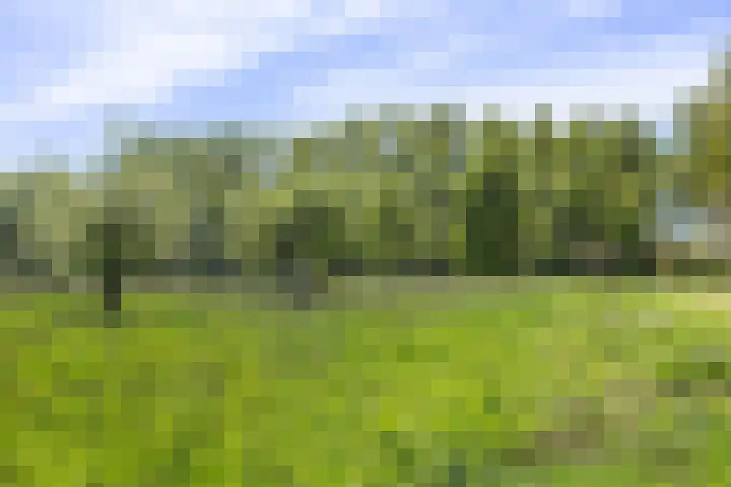 Quabbenburgerweg 16 Terwolde thumbnail 73