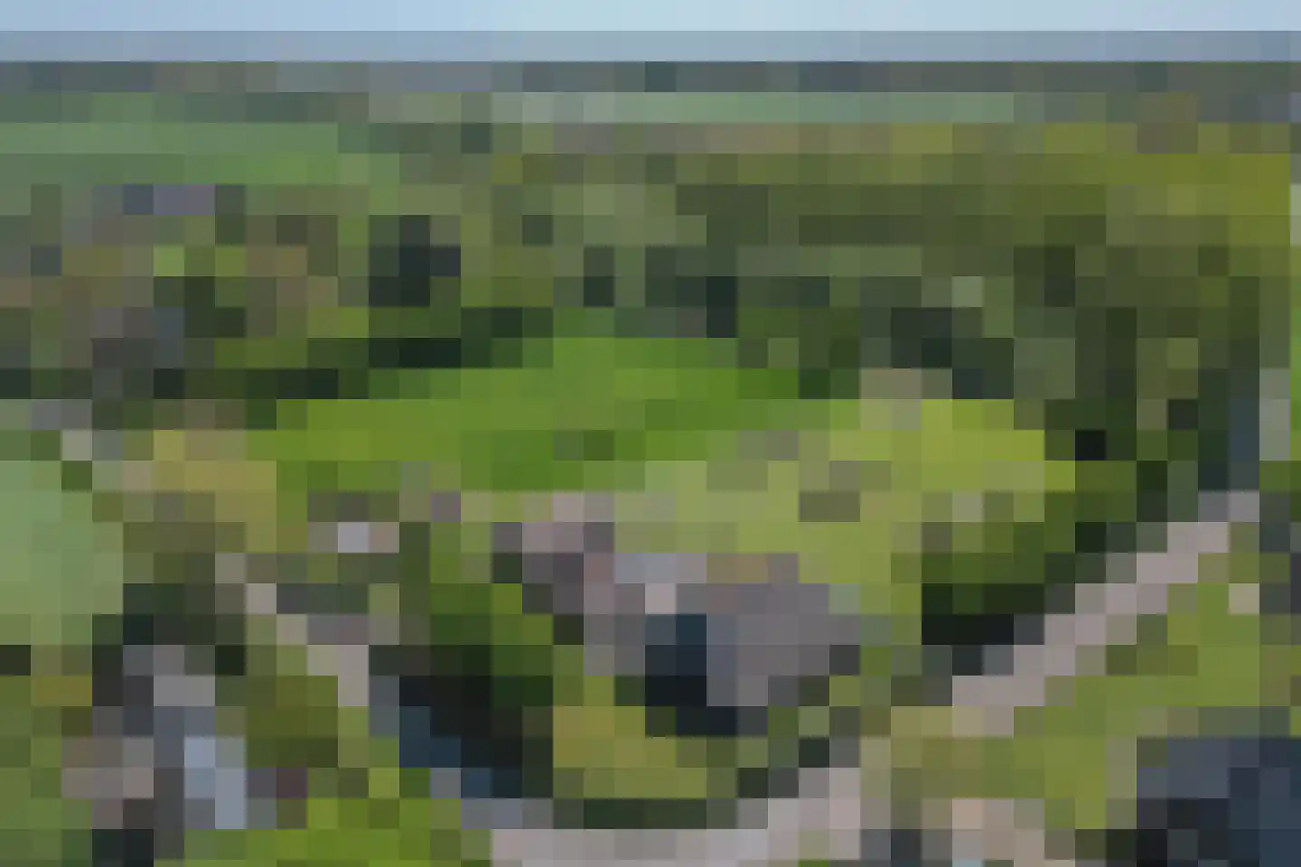 Quabbenburgerweg 16 Terwolde thumbnail 78