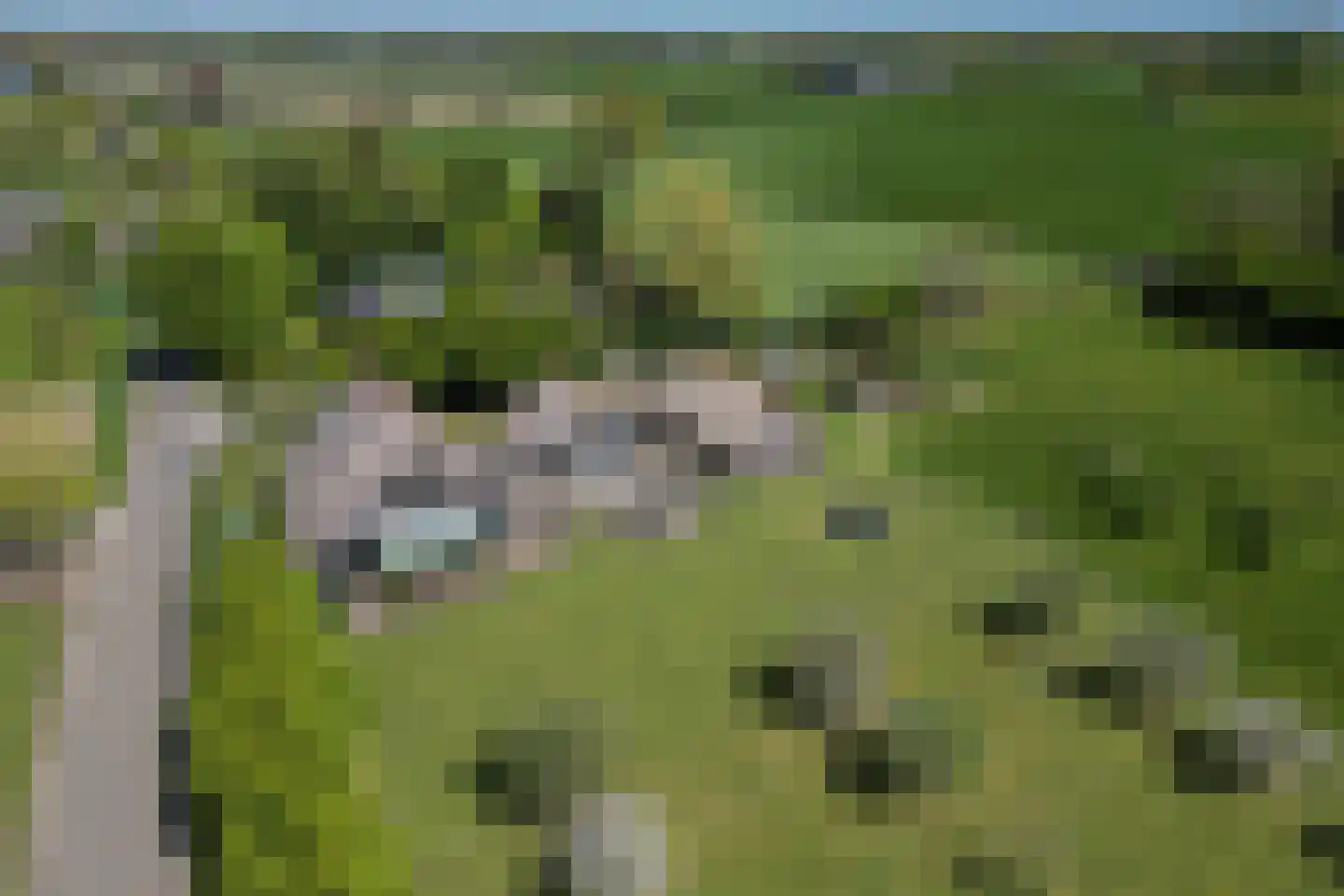 Quabbenburgerweg 16 Terwolde thumbnail 79