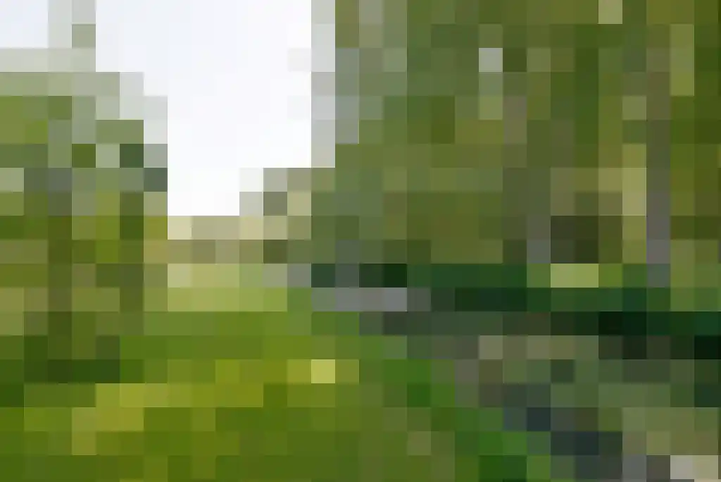 Quabbenburgerweg 16 Terwolde thumbnail 8