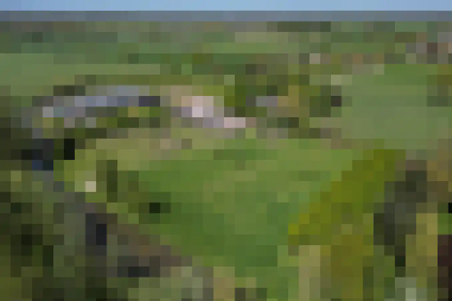 Quabbenburgerweg 16 Terwolde thumbnail 81