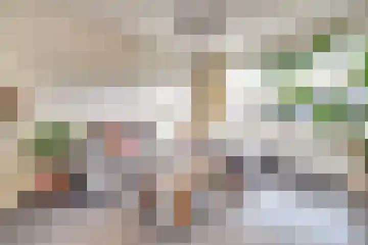 Quackelaer 59 Eersel thumbnail 15