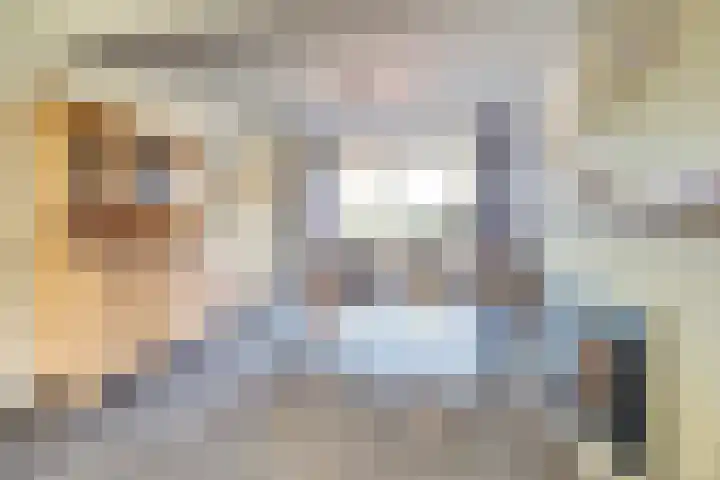 Quackelaer 59 Eersel thumbnail 17