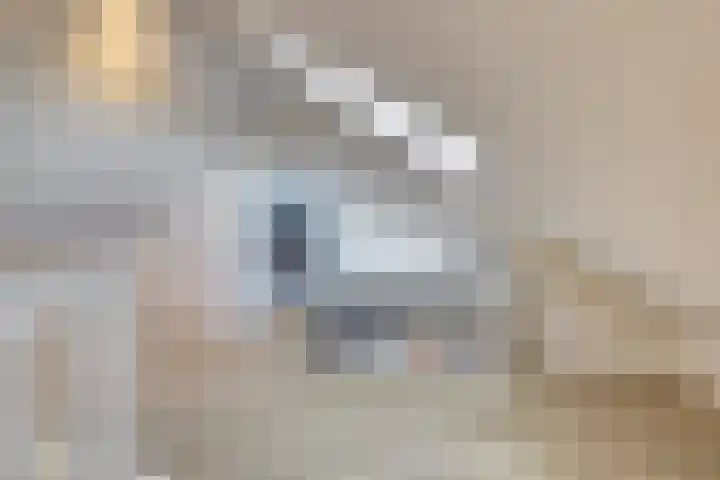 Quackelaer 59 Eersel thumbnail 37