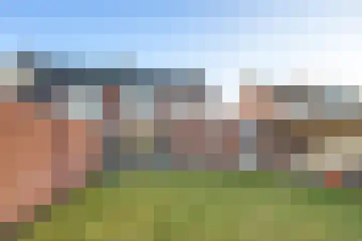 Quackelaer 59 Eersel thumbnail 4