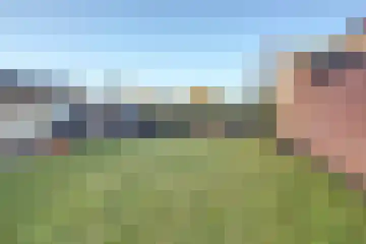 Quackelaer 59 Eersel thumbnail 41