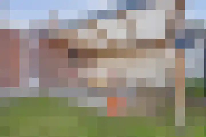 Quackelaer 59 Eersel thumbnail 43