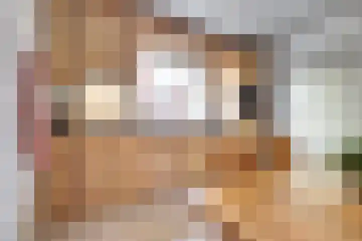 Quackelaer 59 Eersel thumbnail 9