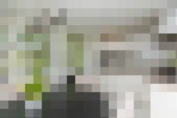 Quadenoord 101 Rotterdam thumbnail 12