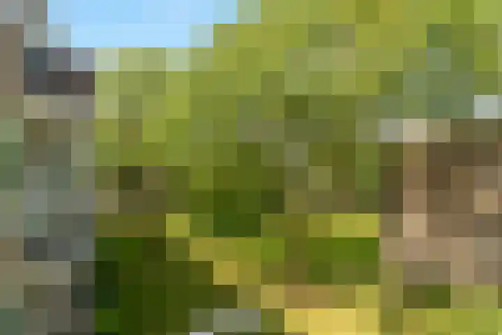 Quadenoord 101 Rotterdam thumbnail 22