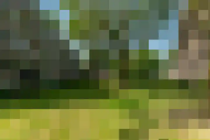 Quadenoord 101 Rotterdam thumbnail 23
