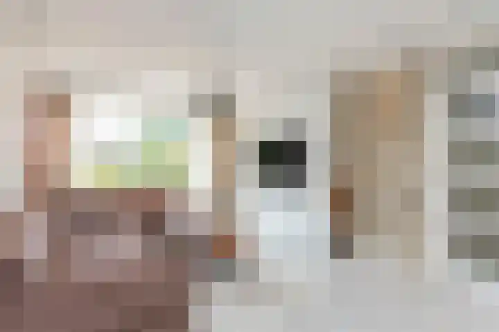 Quadenoord 101 Rotterdam thumbnail 7