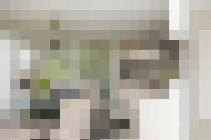 Quadenoord 101 Rotterdam thumbnail 9