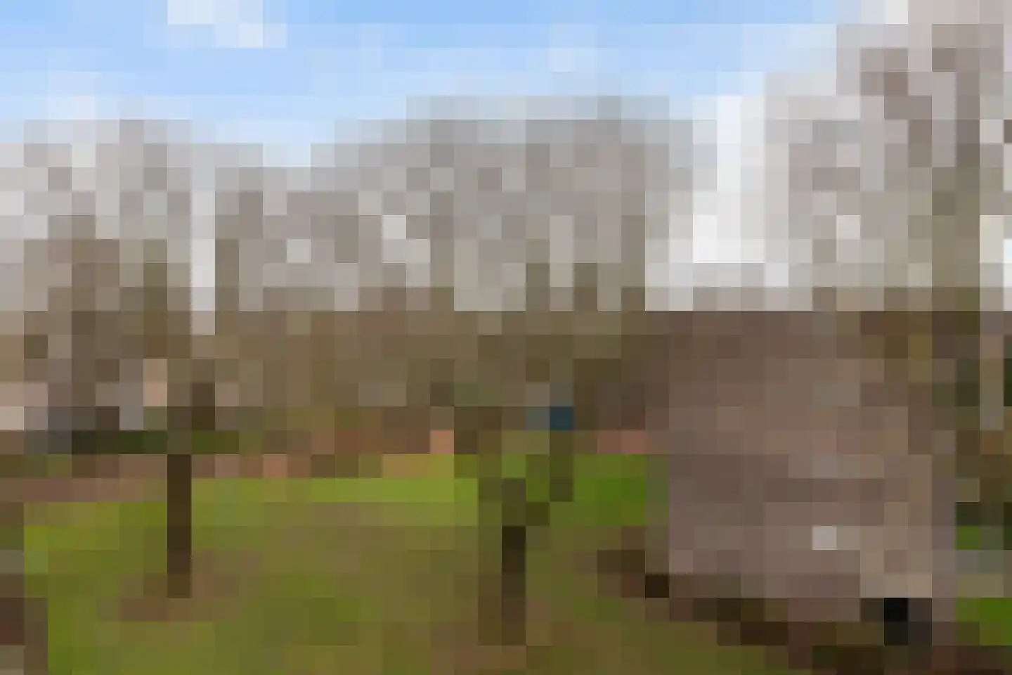 Quadenoord 103 Rotterdam thumbnail 31