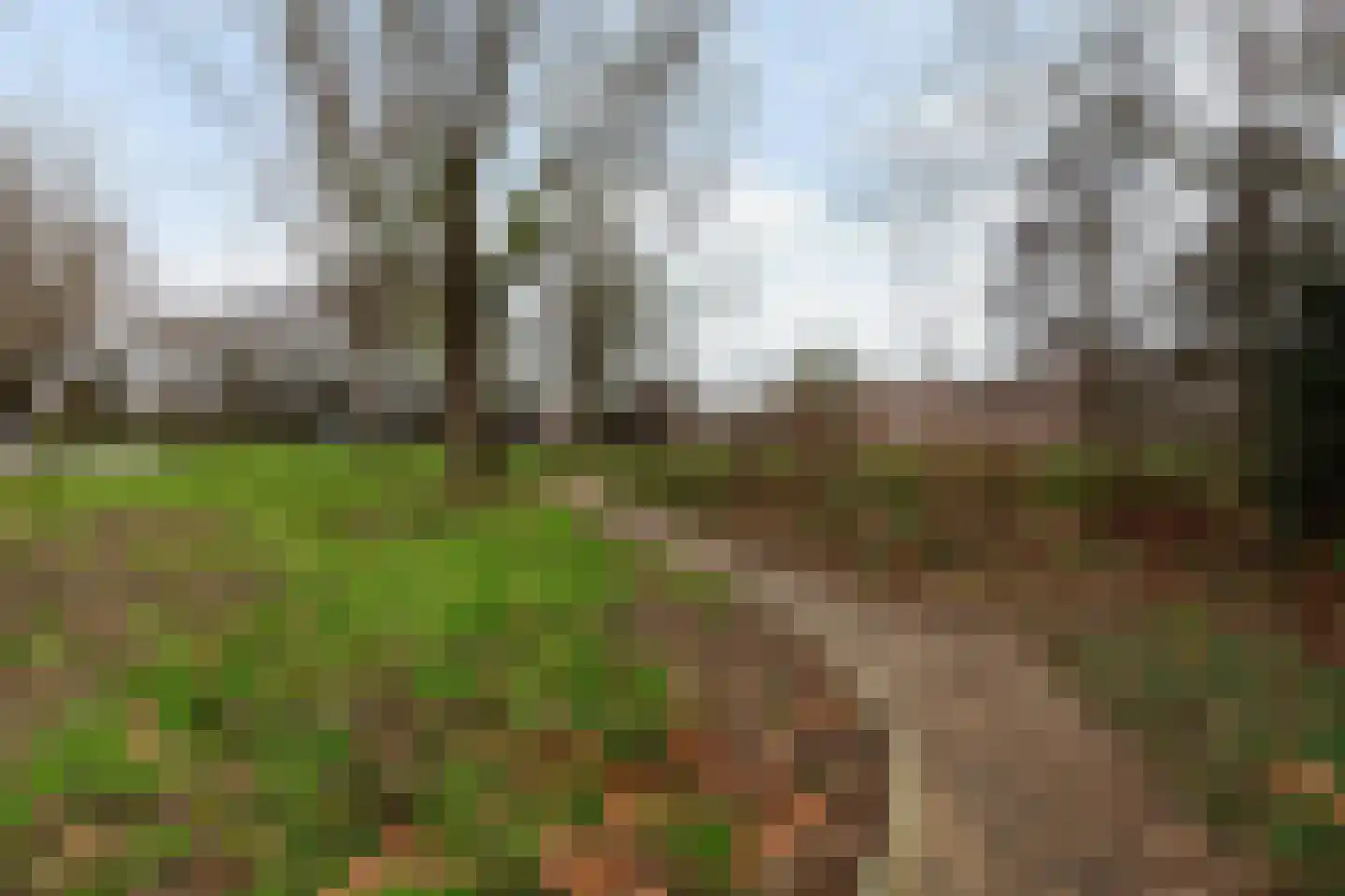 Quadenoord 103 Rotterdam thumbnail 6
