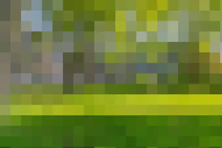 Quadenoord 104 Rotterdam thumbnail 30