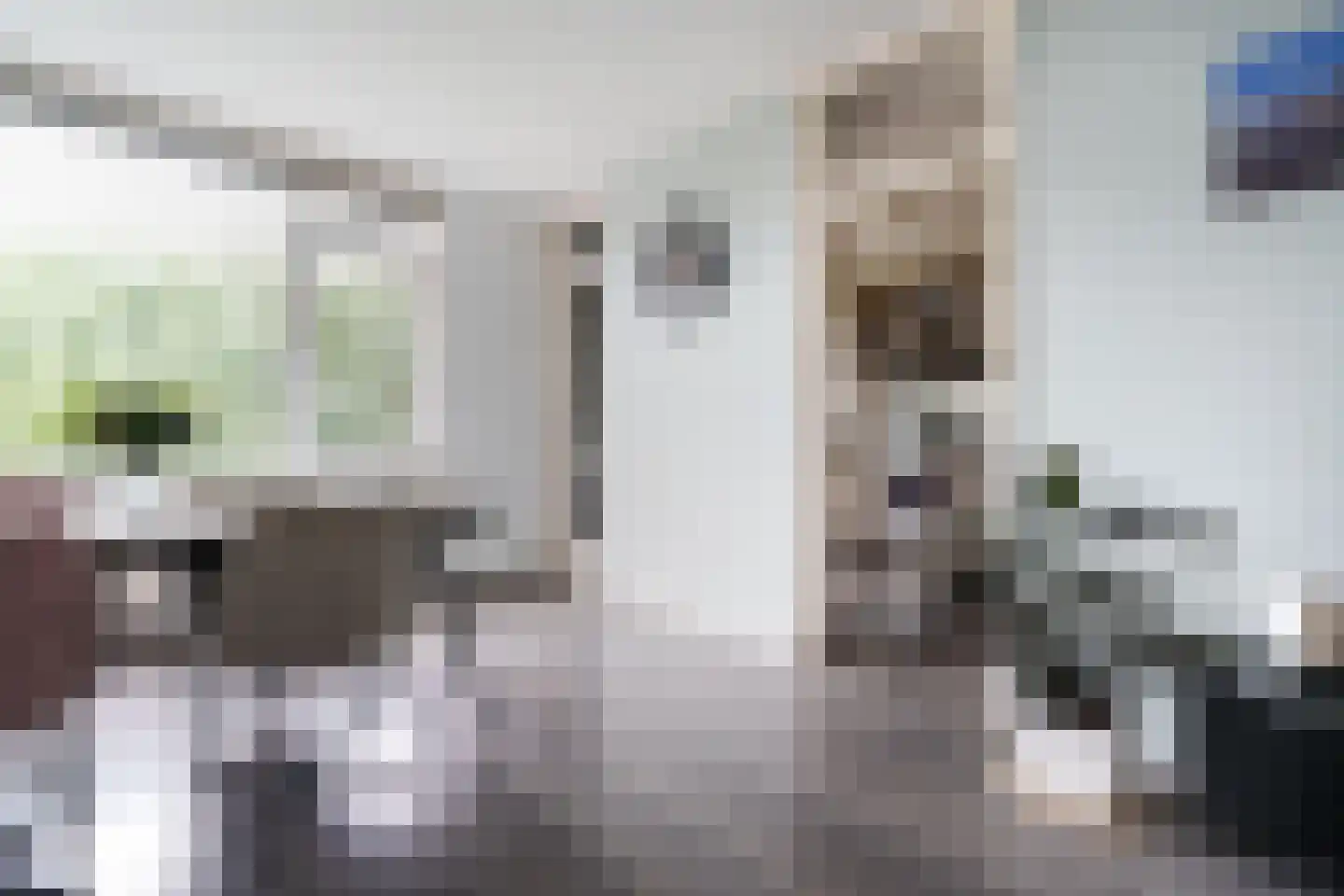 Quadenoord 108 Rotterdam thumbnail 12