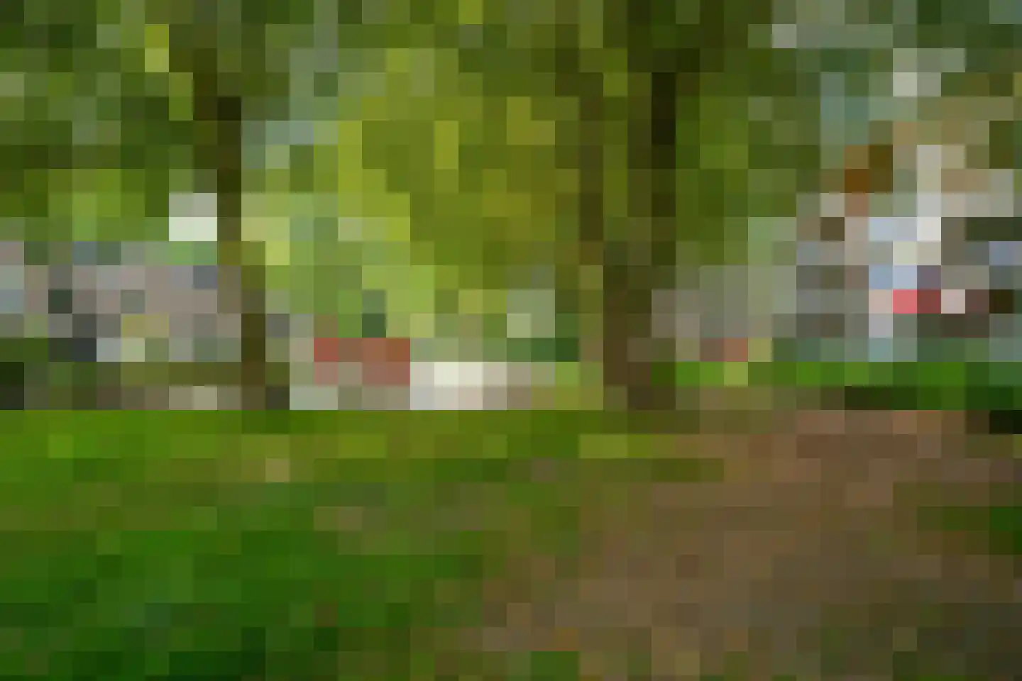 Quadenoord 108 Rotterdam thumbnail 25