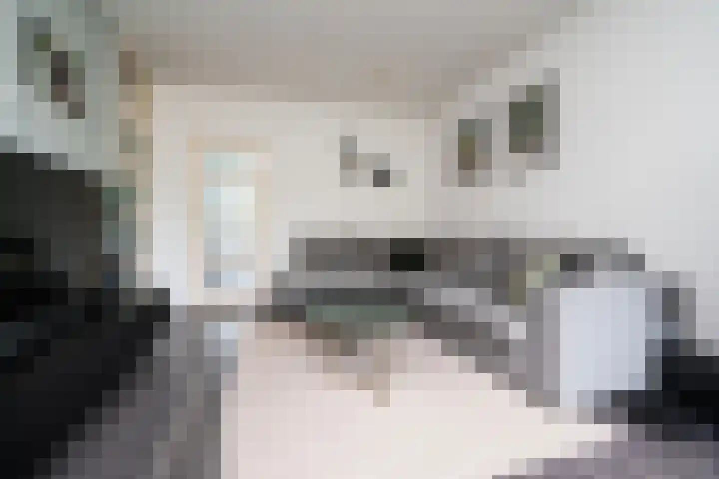Quadenoord 108 Rotterdam thumbnail 6