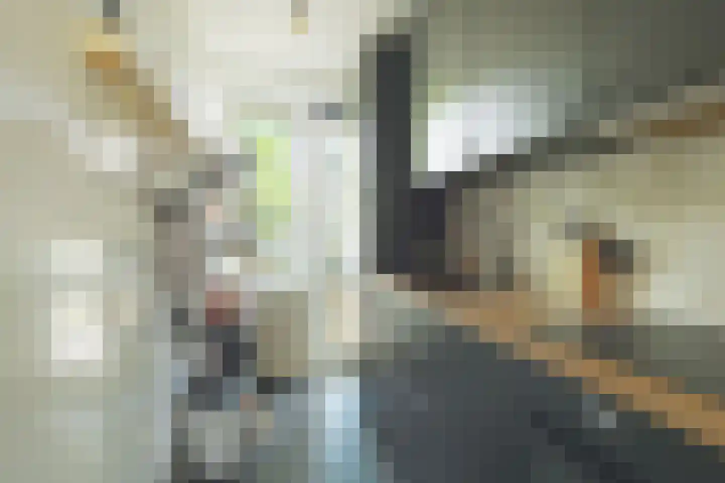 Quadenoord 113 Rotterdam thumbnail 10