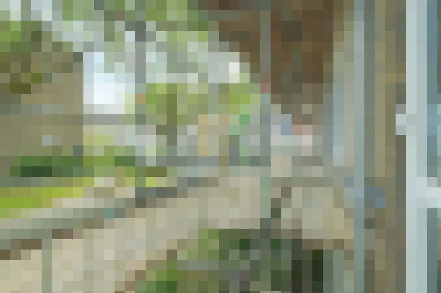 Quadenoord 113 Rotterdam thumbnail 11