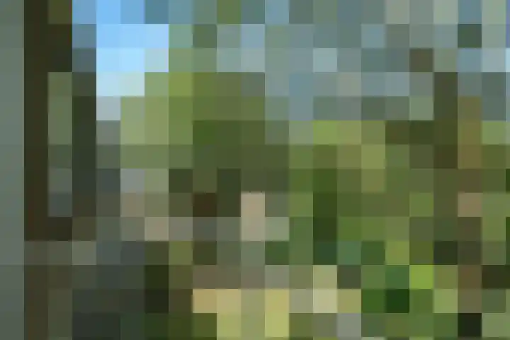 Quadenoord 127 Rotterdam thumbnail 23