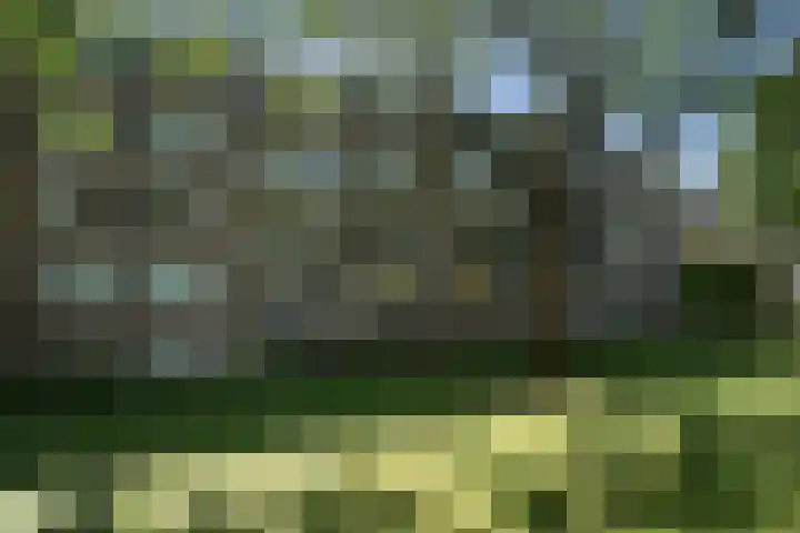 Quadenoord 127 Rotterdam thumbnail 33