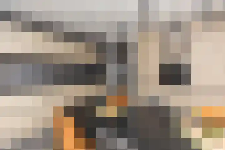 Quadenoord 133 Rotterdam thumbnail 11