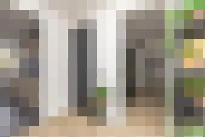 Quadenoord 133 Rotterdam thumbnail 9