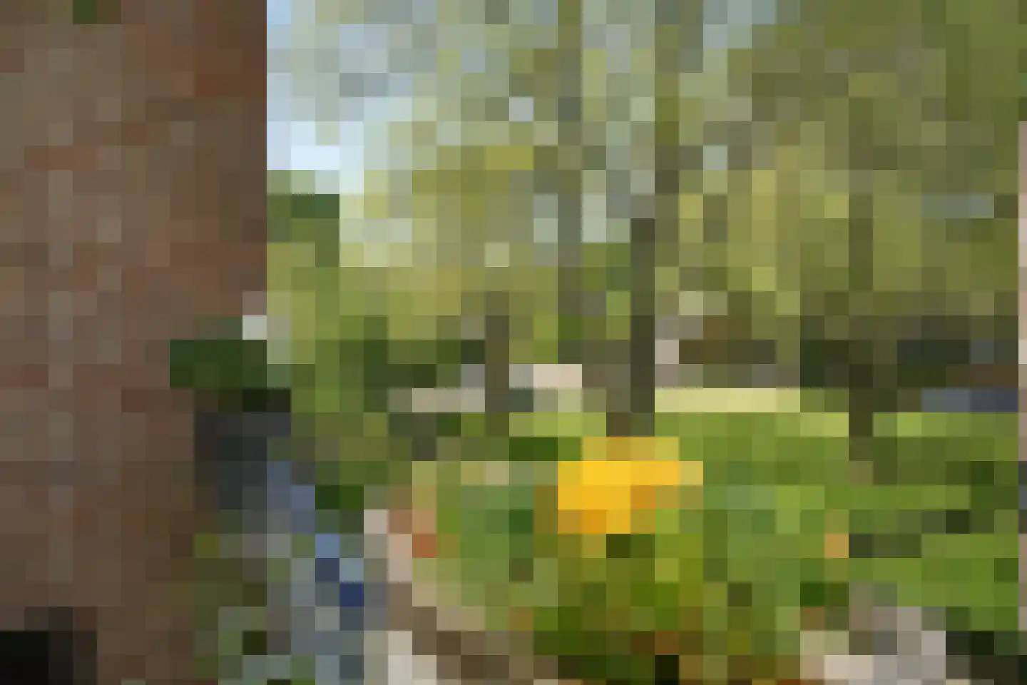 Quadenoord 146 Rotterdam thumbnail 4