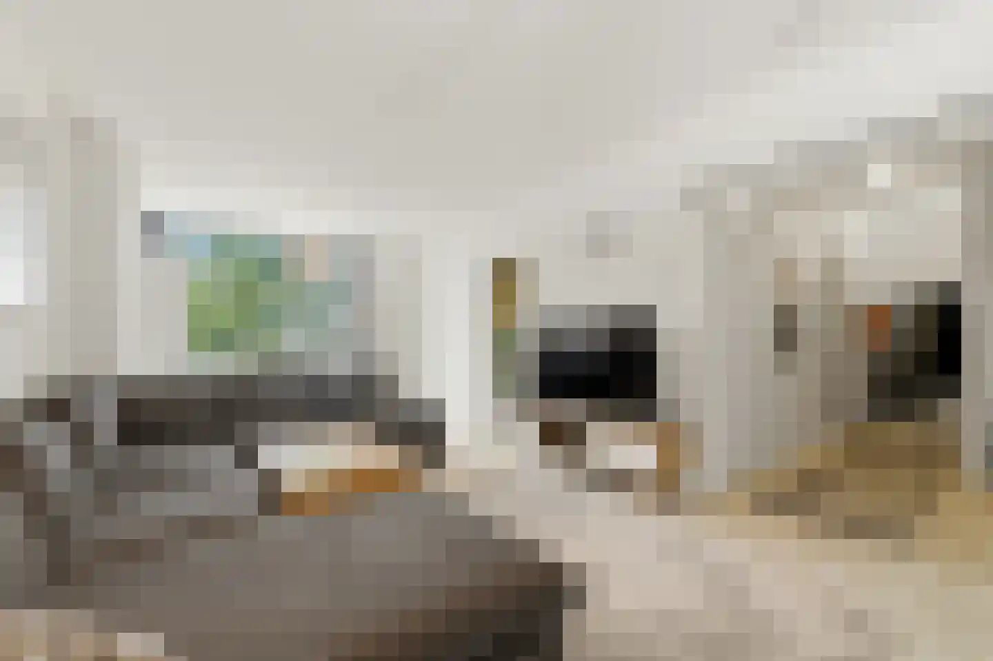 Quadenoord 156 Rotterdam thumbnail 11