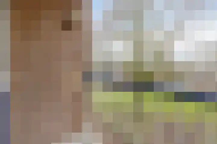 Quadenoord 178 Rotterdam thumbnail 15