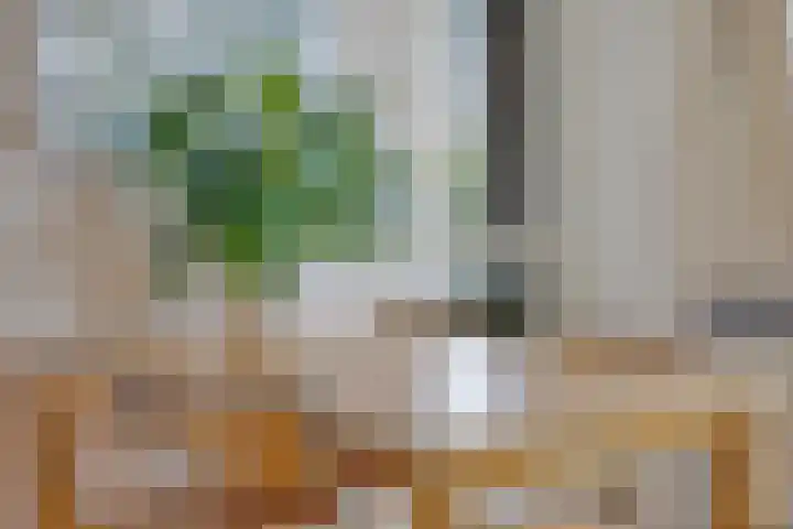Quadenoord 178 Rotterdam thumbnail 7