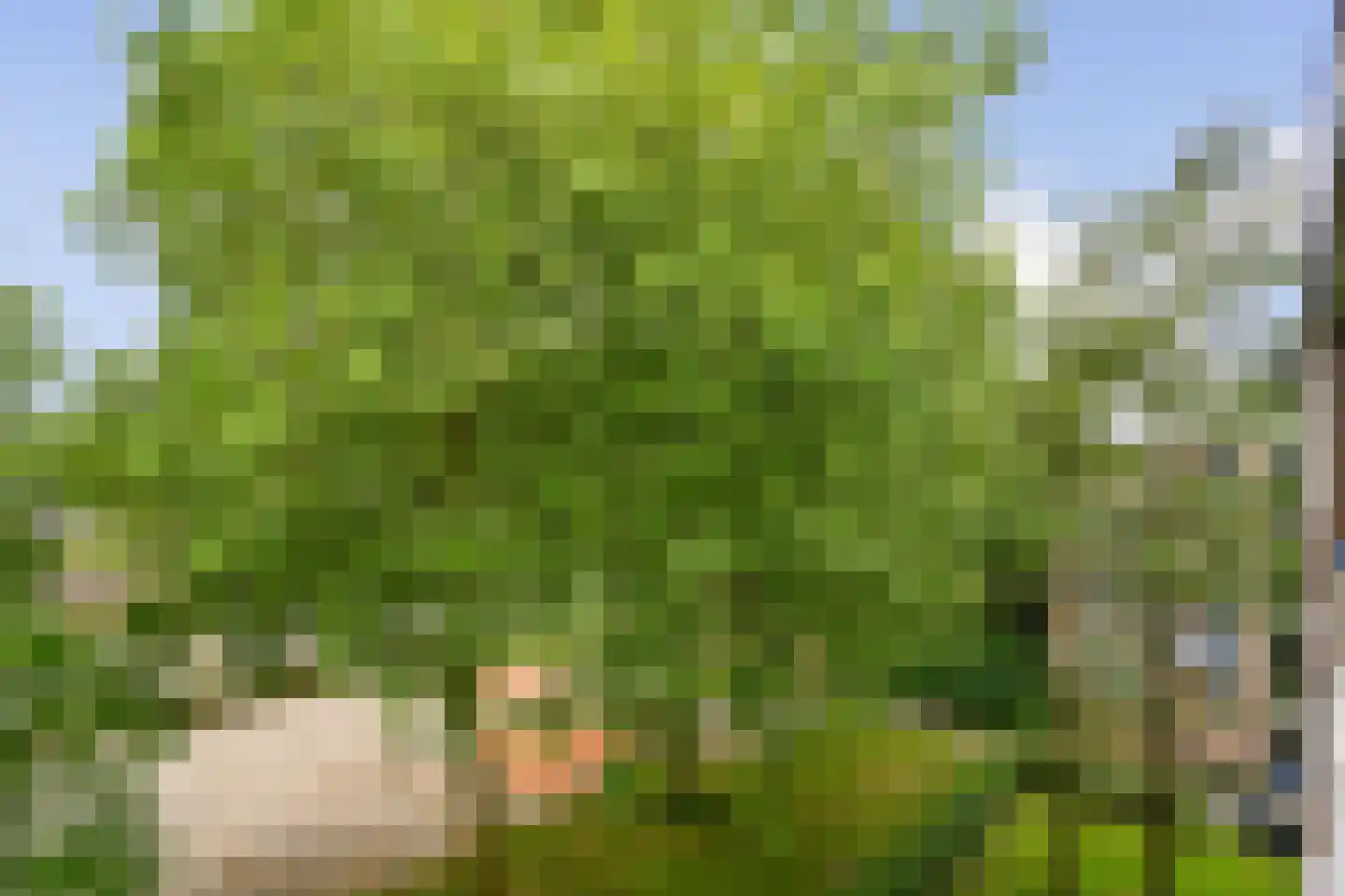 Quadenoord 204 Rotterdam thumbnail 10