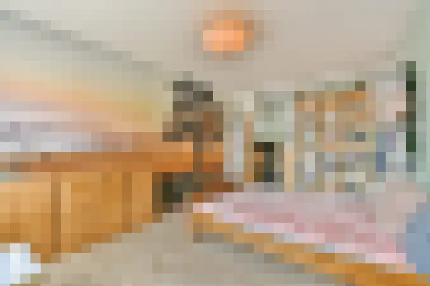 Quadenoord 204 Rotterdam thumbnail 12