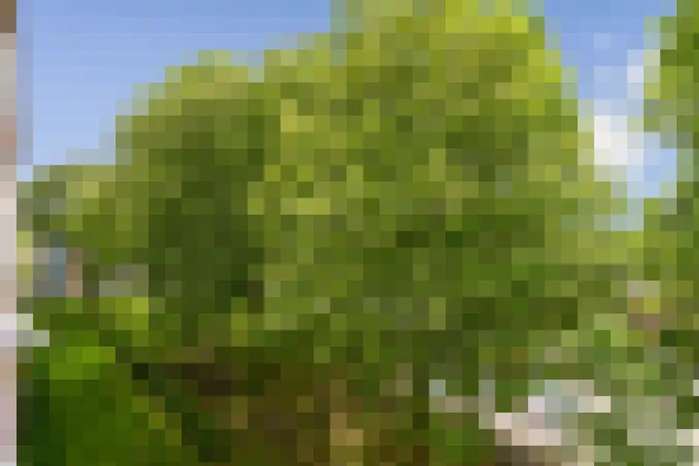 Quadenoord 204 Rotterdam thumbnail 9