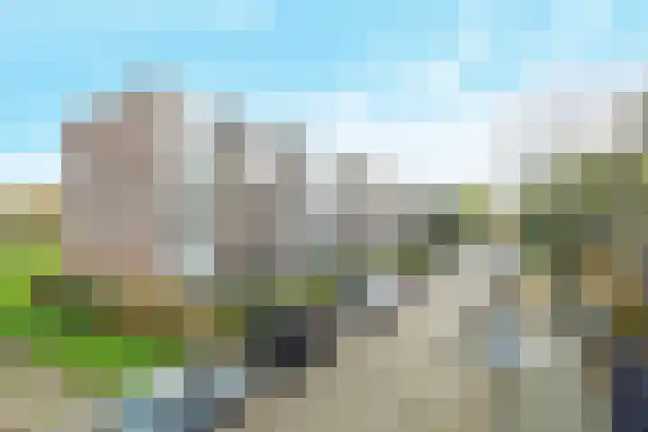 Quadenoord 24 Rotterdam thumbnail 22